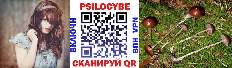Галлюциногенные грибы Cubensis  darknet Telegram  Ельня 